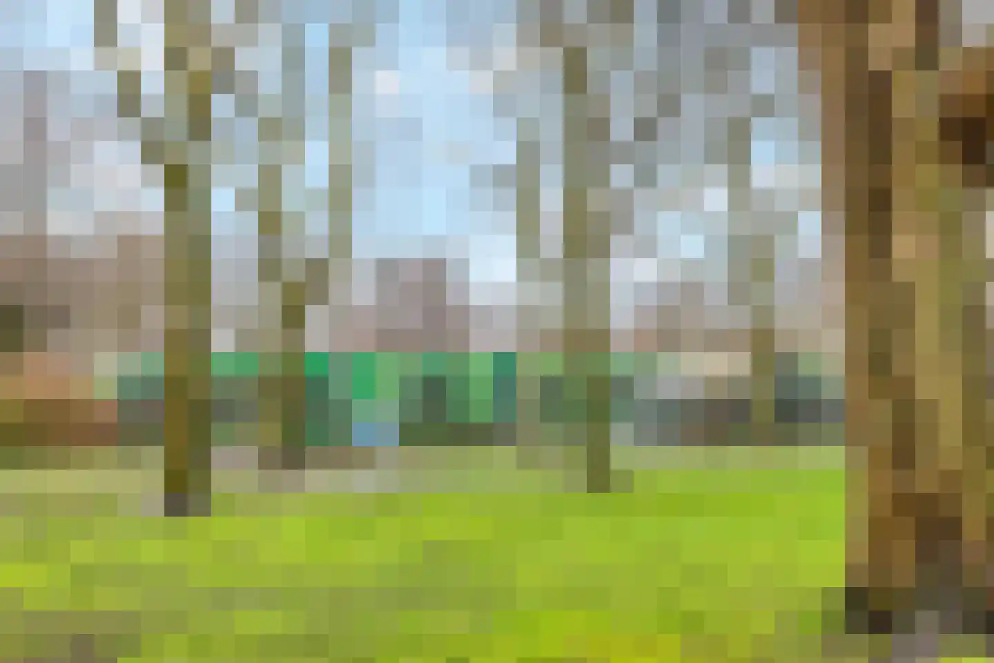 Laurierdonk 18 Spijkenisse thumbnail 38
