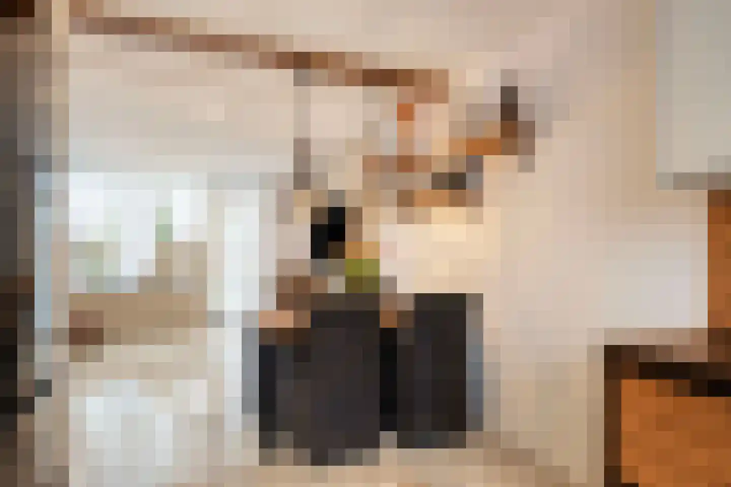 Laurierdonk 18 Spijkenisse thumbnail 6