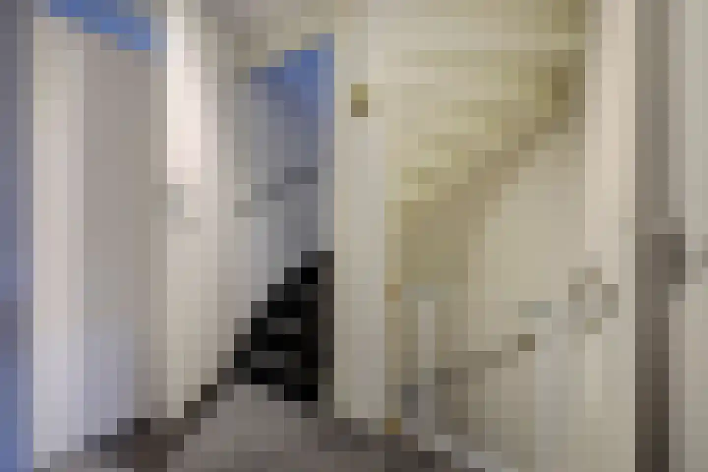 Laurierdonk 70 Spijkenisse thumbnail 12