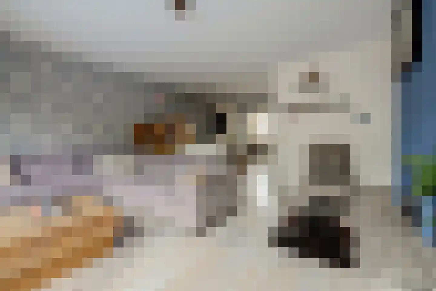 Laurierdonk 70 Spijkenisse thumbnail 5