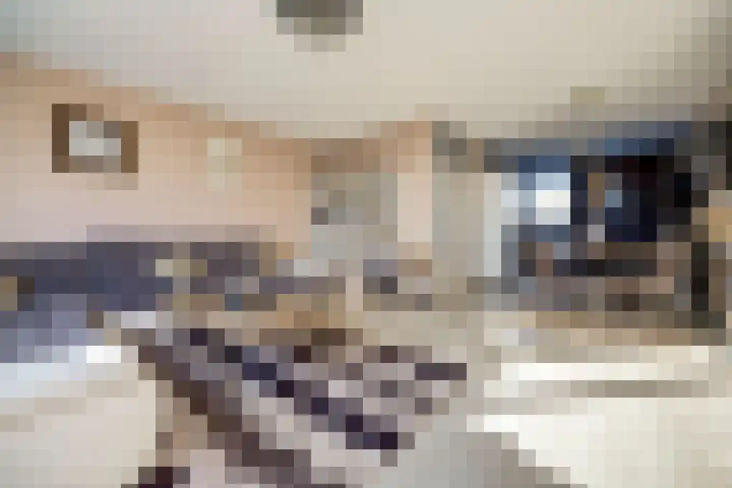 Laurierdonk 72 Spijkenisse thumbnail 5