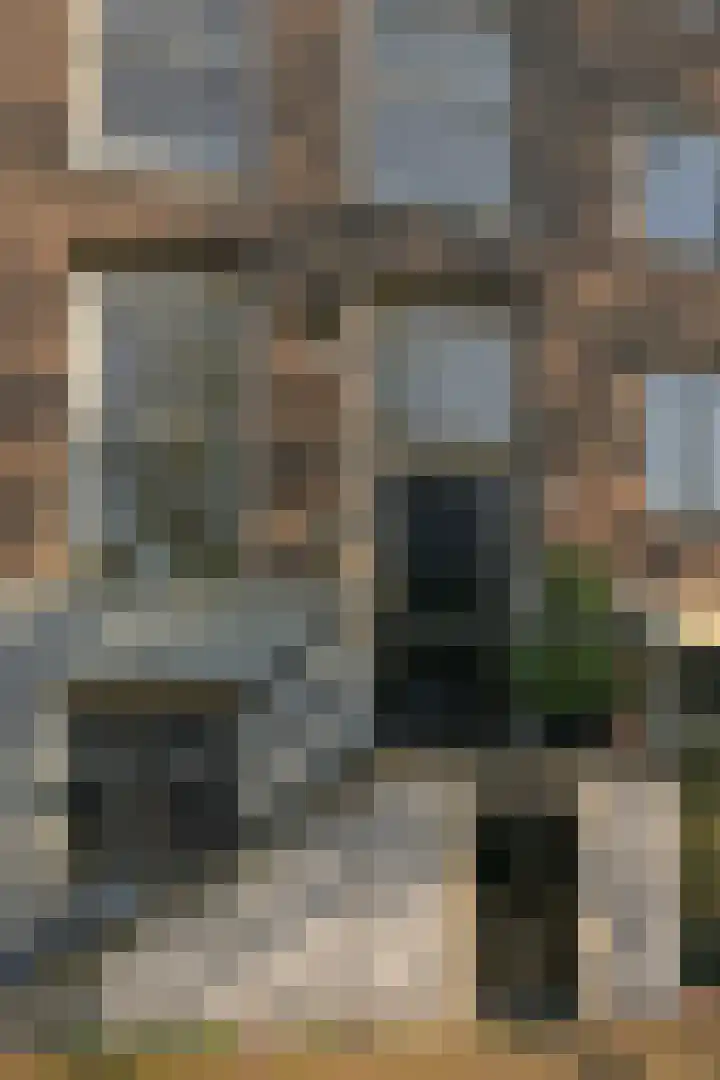 Lauriergracht 107 A Amsterdam thumbnail 36