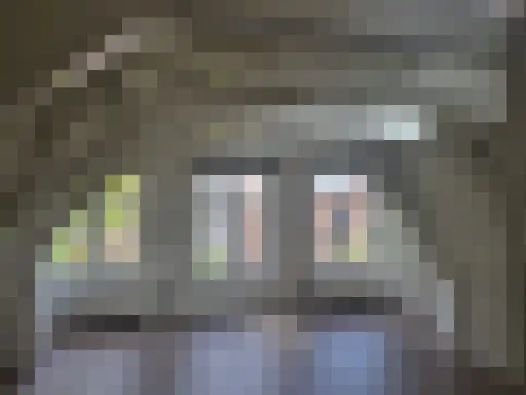Lauriergracht 111 Amsterdam thumbnail 4