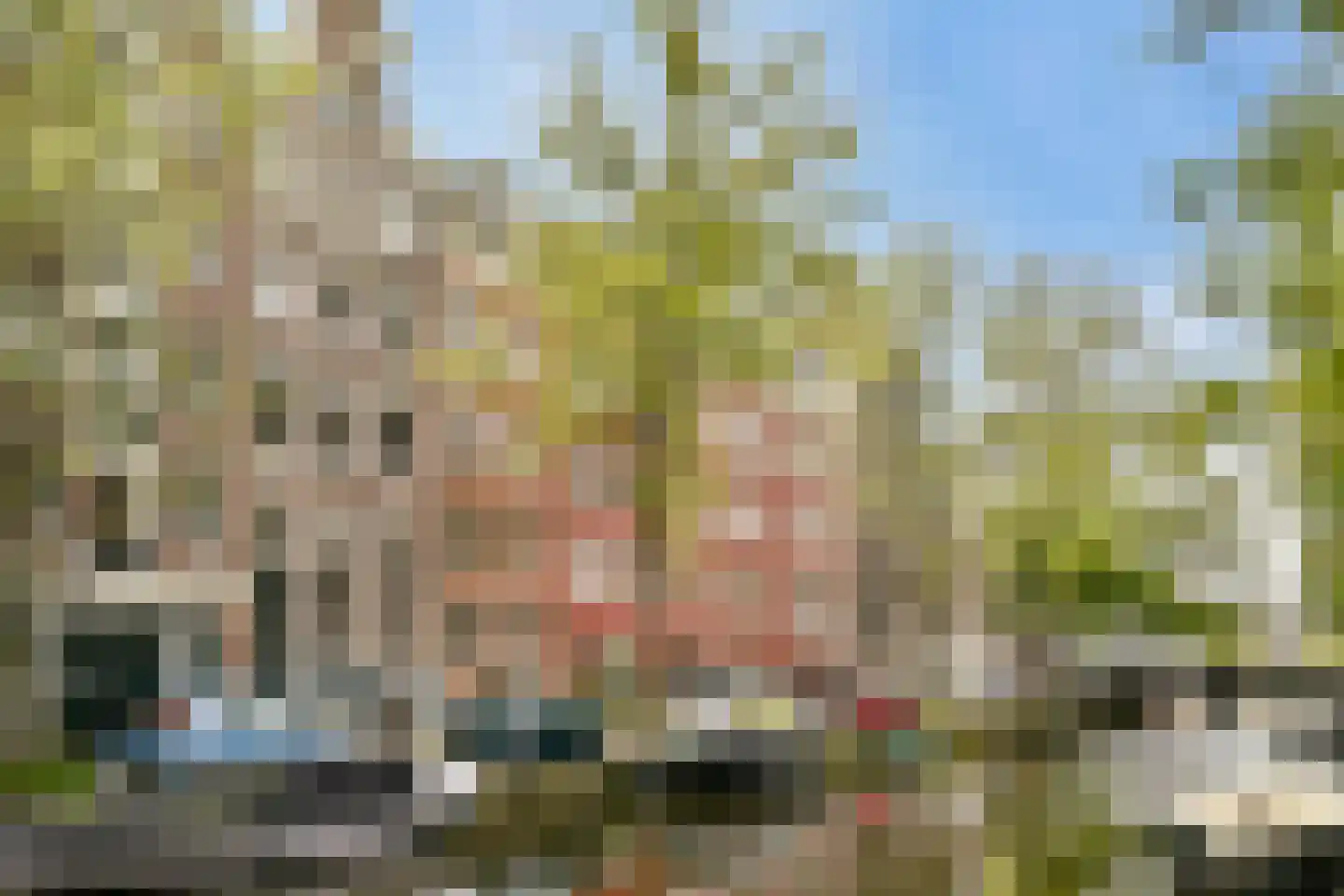 Lauriergracht 113 1 in Amsterdam