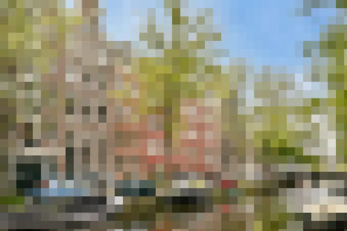 Lauriergracht 113 1 Amsterdam