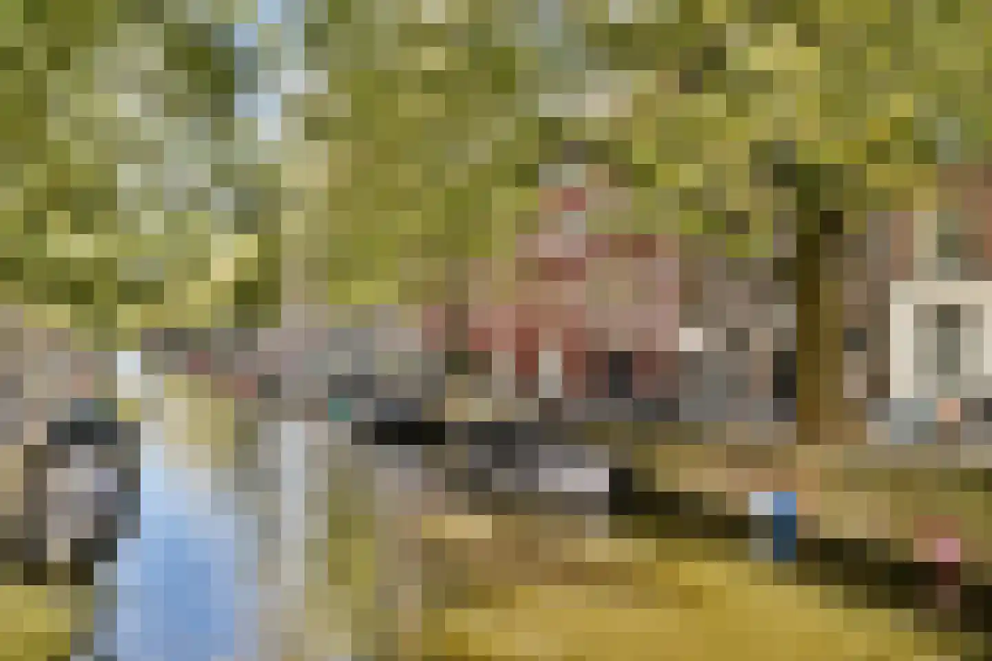 Lauriergracht 113 1 Amsterdam thumbnail 15