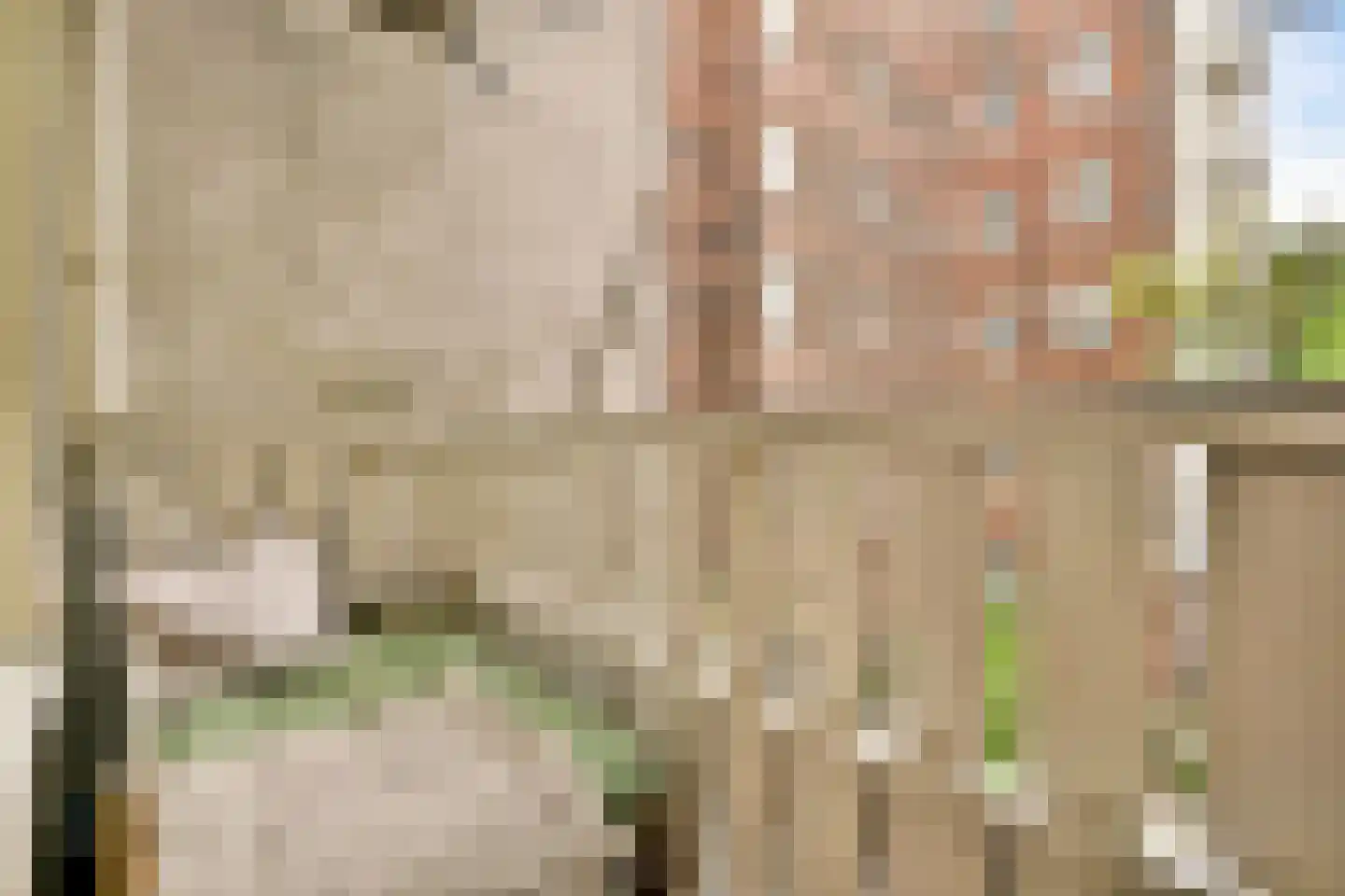 Lauriergracht 113 1 Amsterdam thumbnail 4