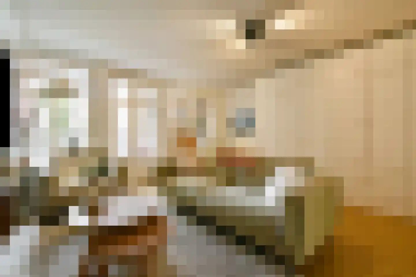 Lauriergracht 113 1 Amsterdam thumbnail 5