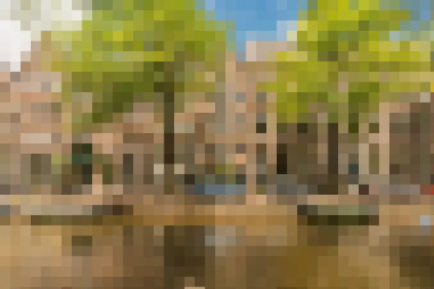 Lauriergracht 118 C in Amsterdam