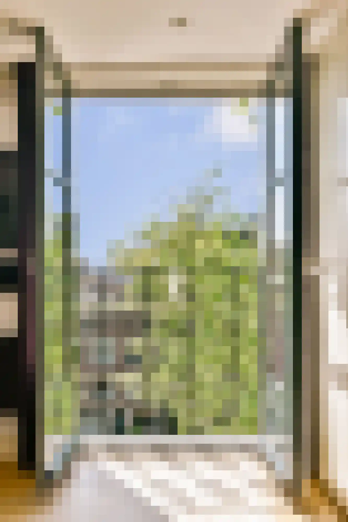 Lauriergracht 118 D Amsterdam thumbnail 8