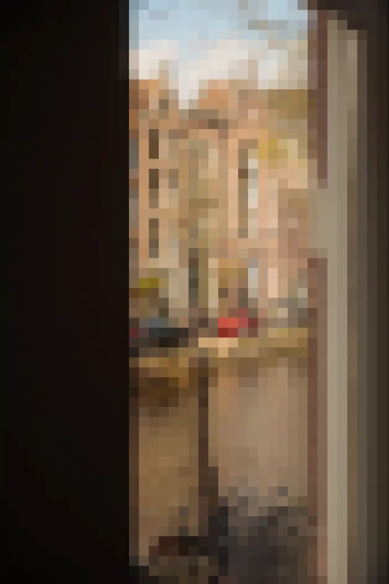 Lauriergracht 121 2 Amsterdam thumbnail 12