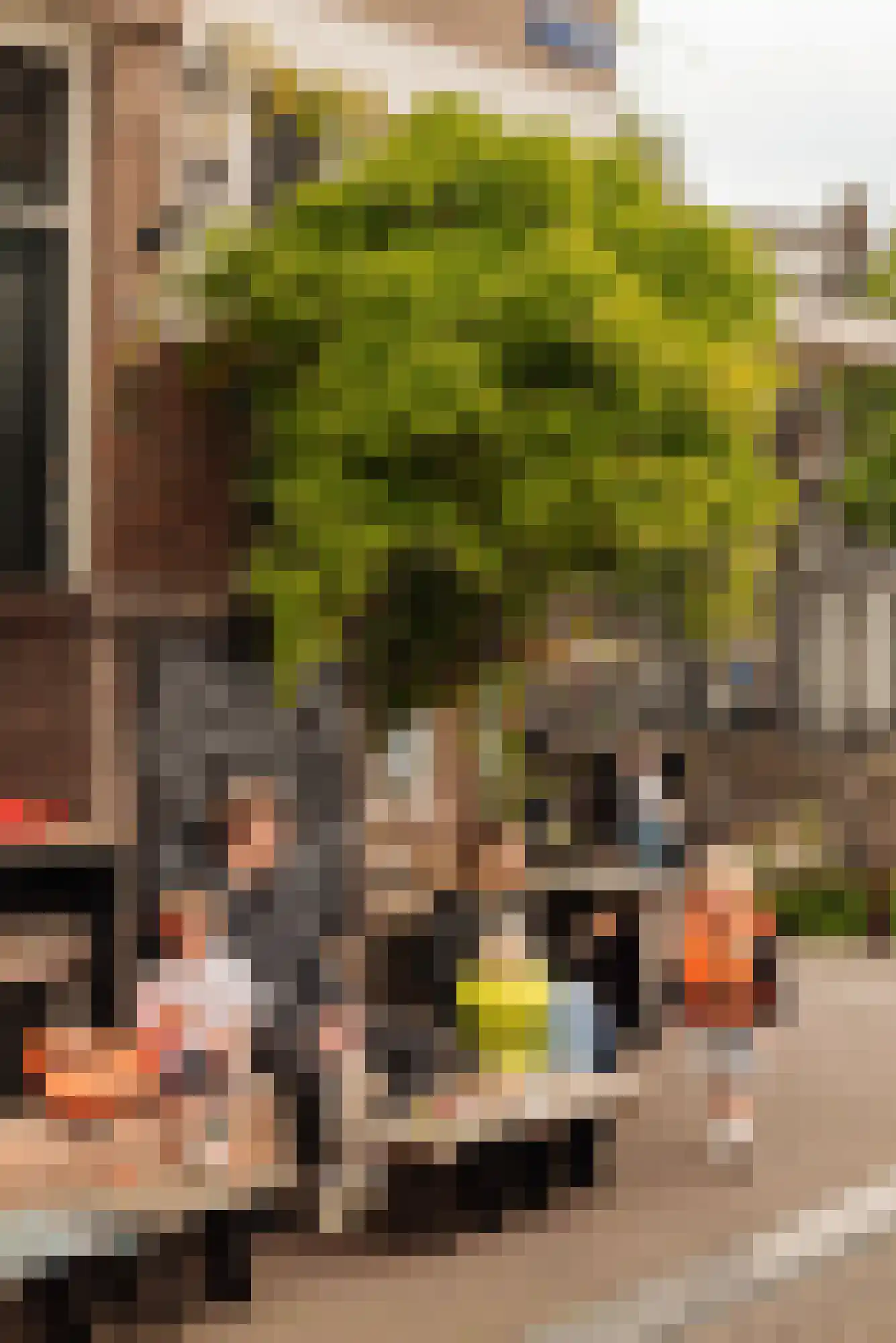 Lauriergracht 30 1 Amsterdam thumbnail 40