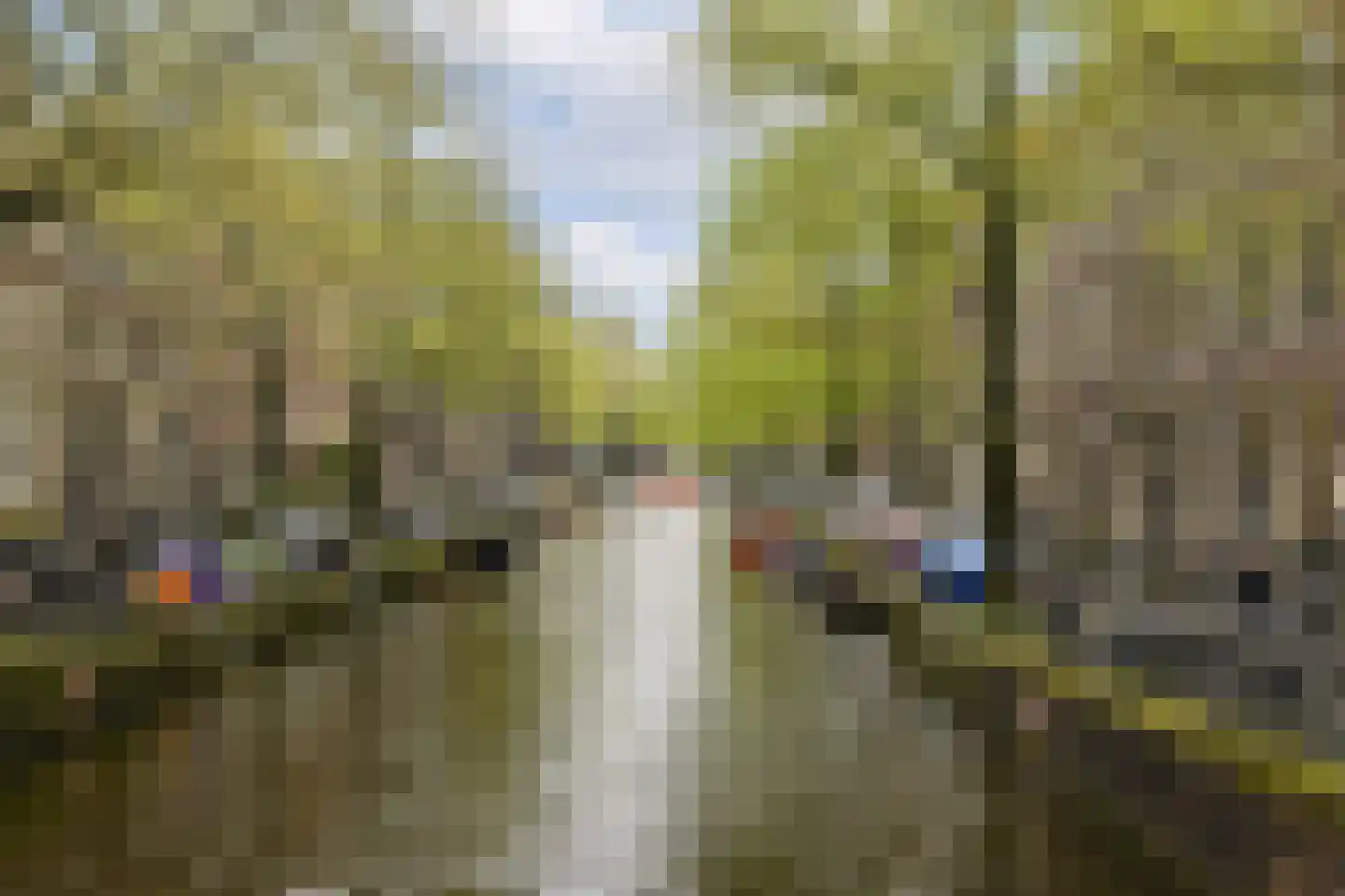 Lauriergracht 37 H Amsterdam thumbnail 24