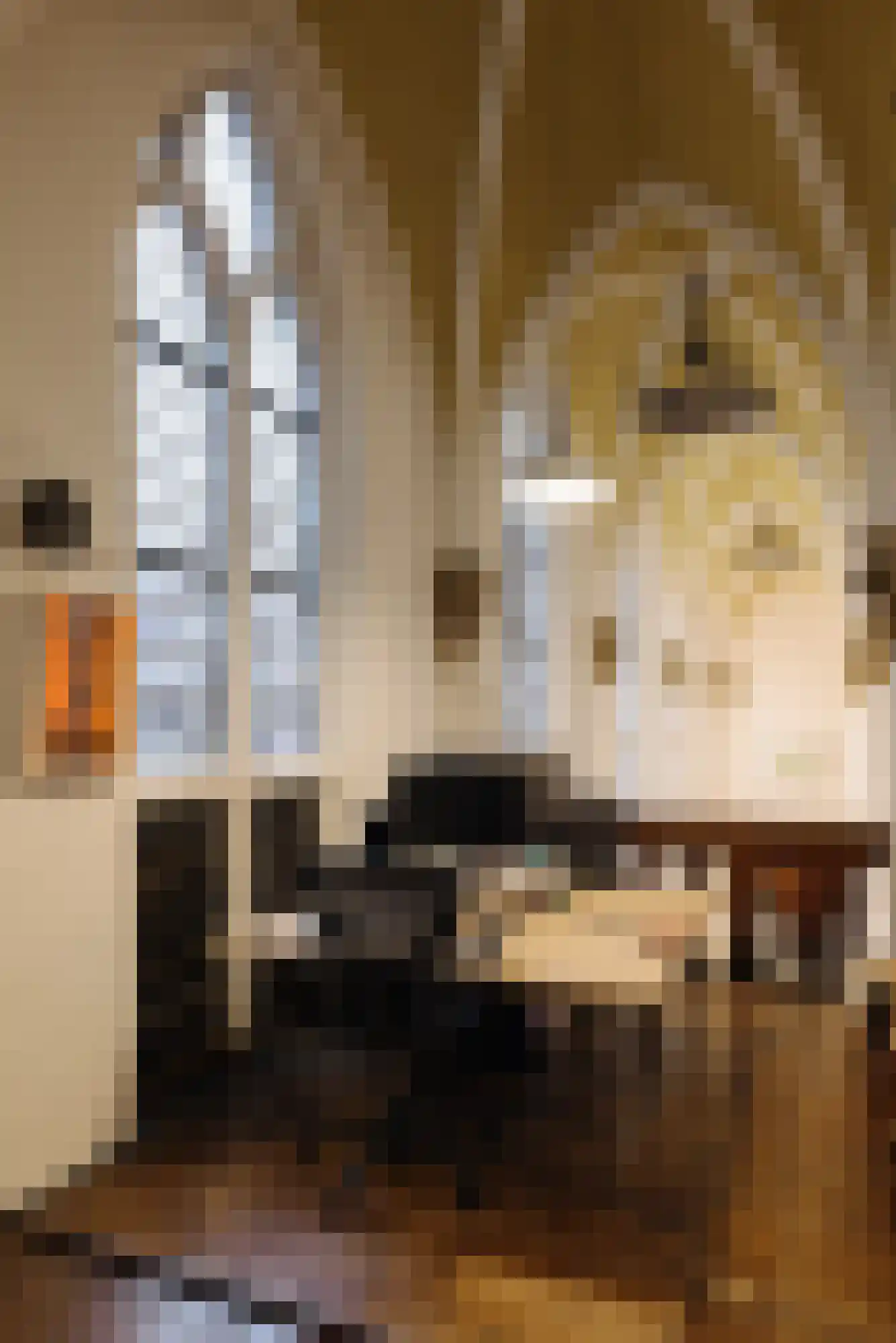 Lauriergracht 39 Amsterdam thumbnail 13