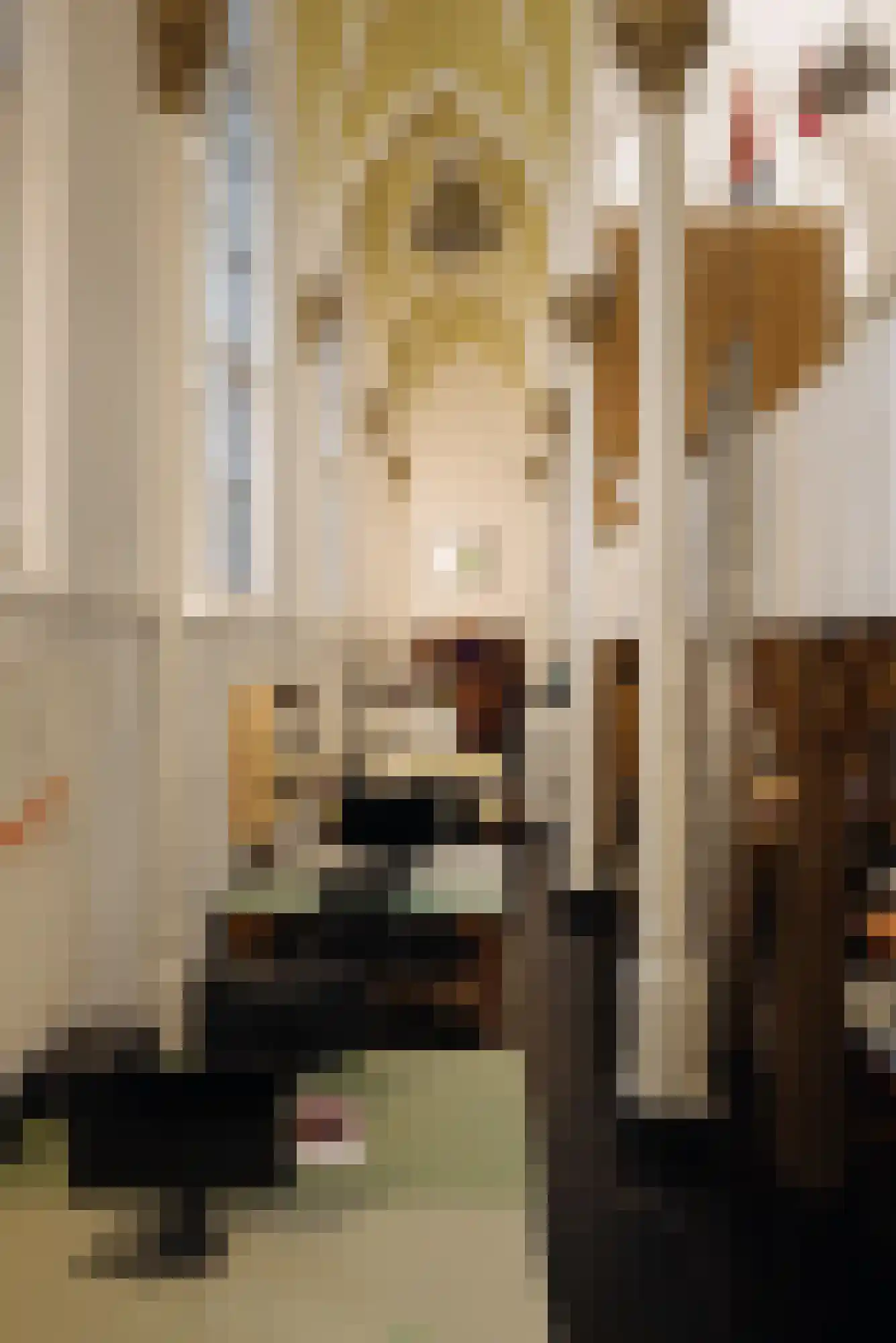 Lauriergracht 39 Amsterdam thumbnail 32