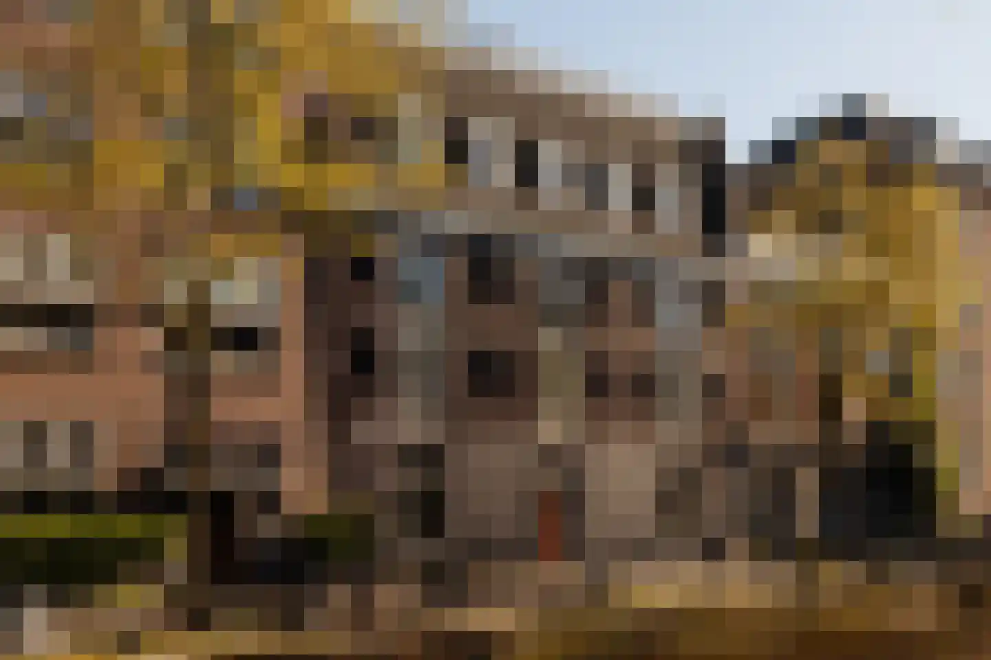Lauriergracht 39 Amsterdam thumbnail 45