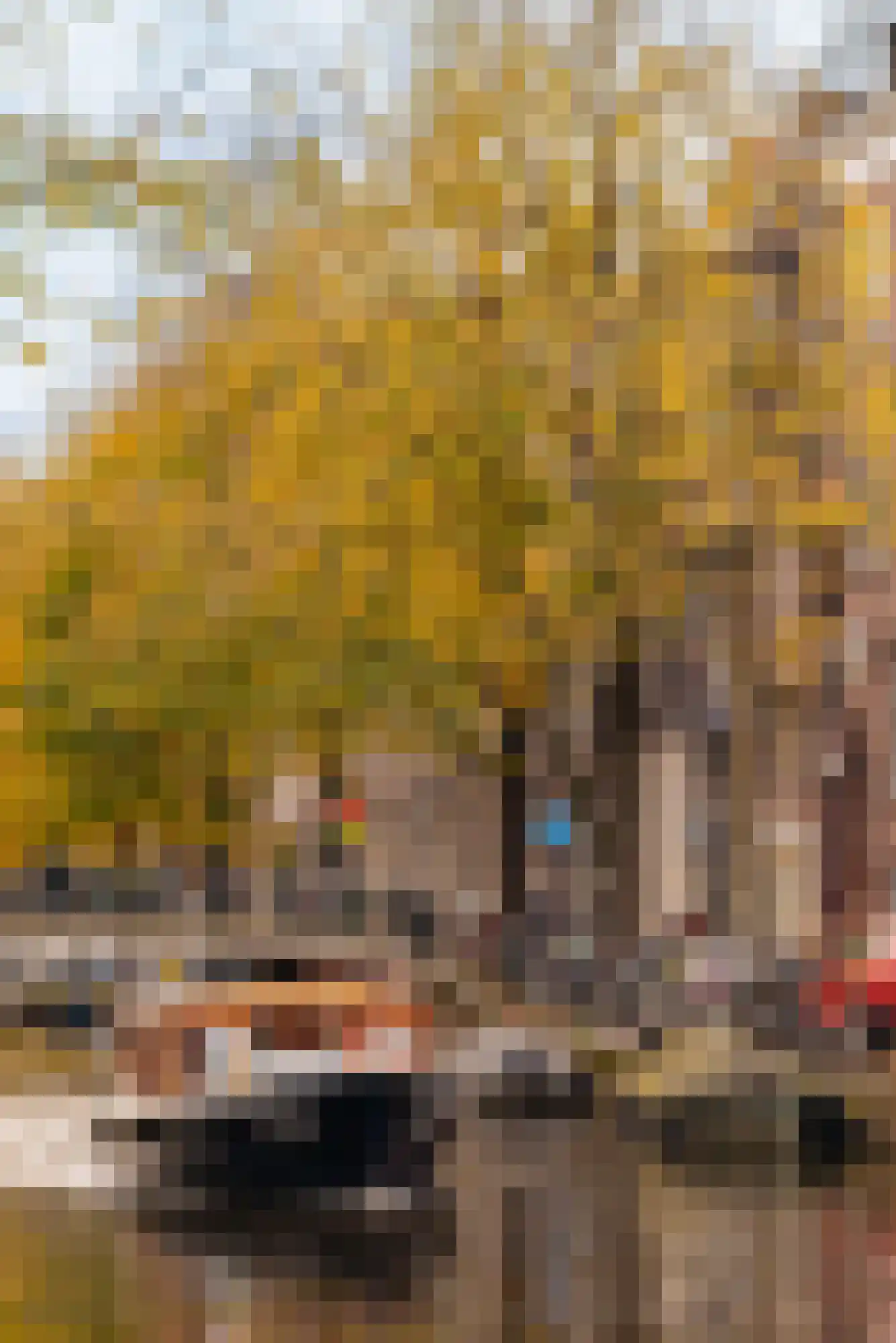 Lauriergracht 39 Amsterdam thumbnail 50