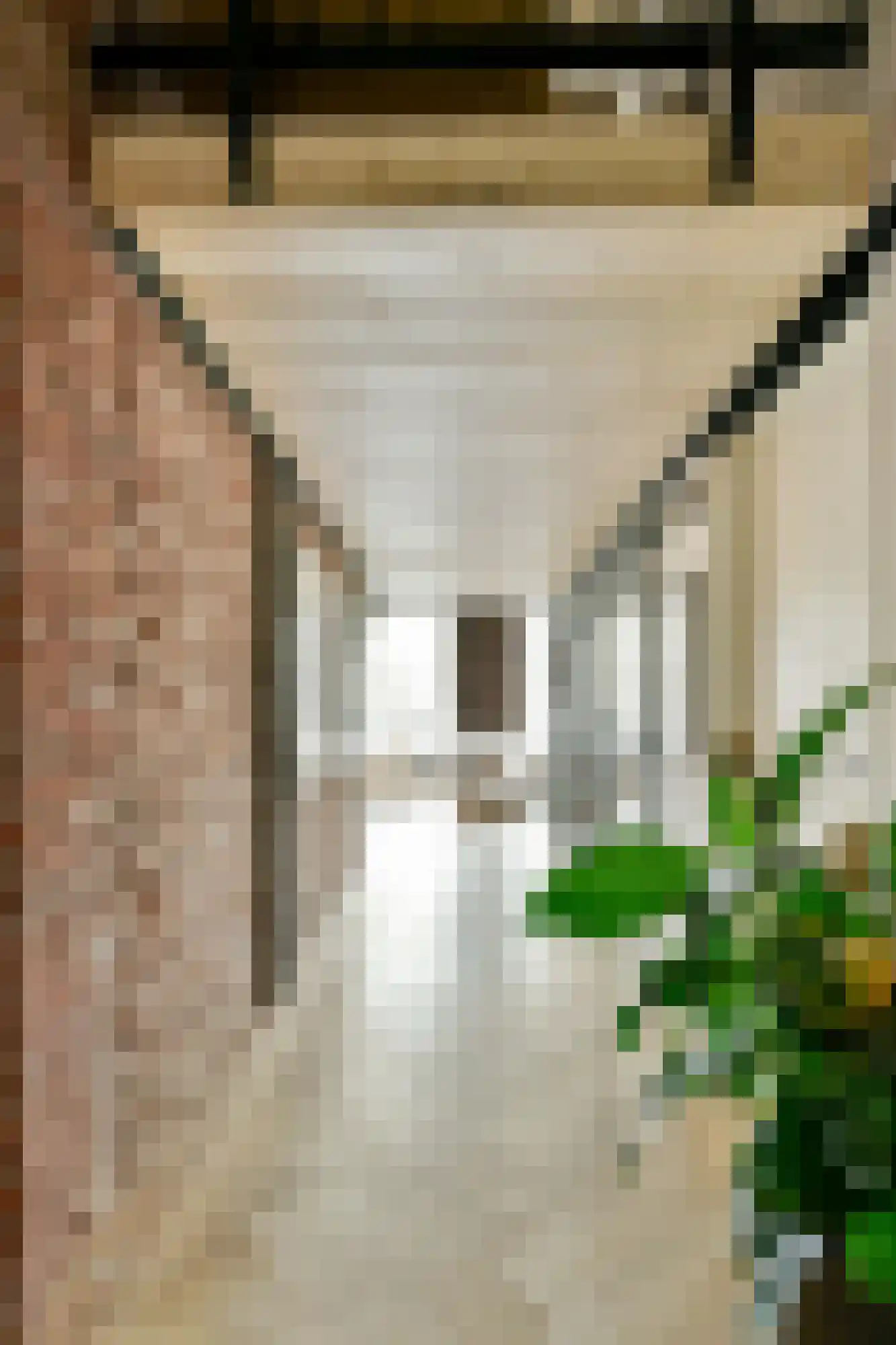 Lauriergracht 41 E Amsterdam thumbnail 10
