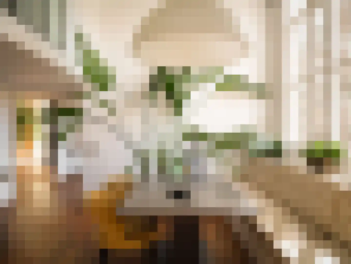 Lauriergracht 47 B Amsterdam thumbnail 30