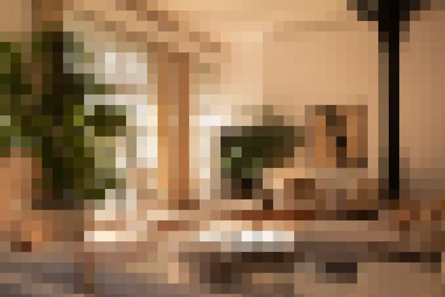 Lauriergracht 47 B Amsterdam thumbnail 5