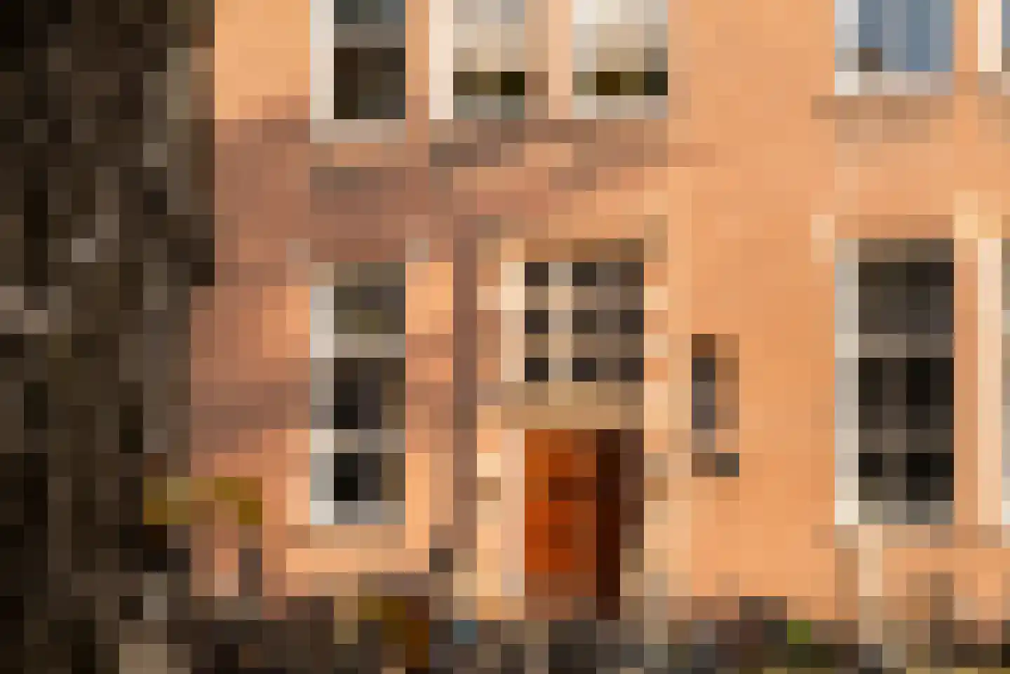Lauriergracht 47 B Amsterdam thumbnail 54
