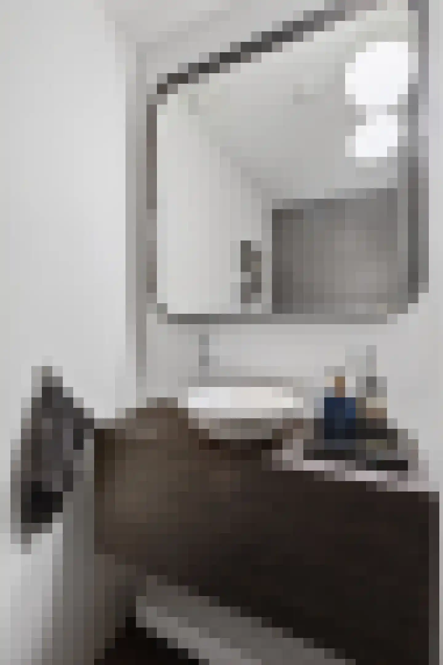 Lauriergracht 47 E Amsterdam thumbnail 16