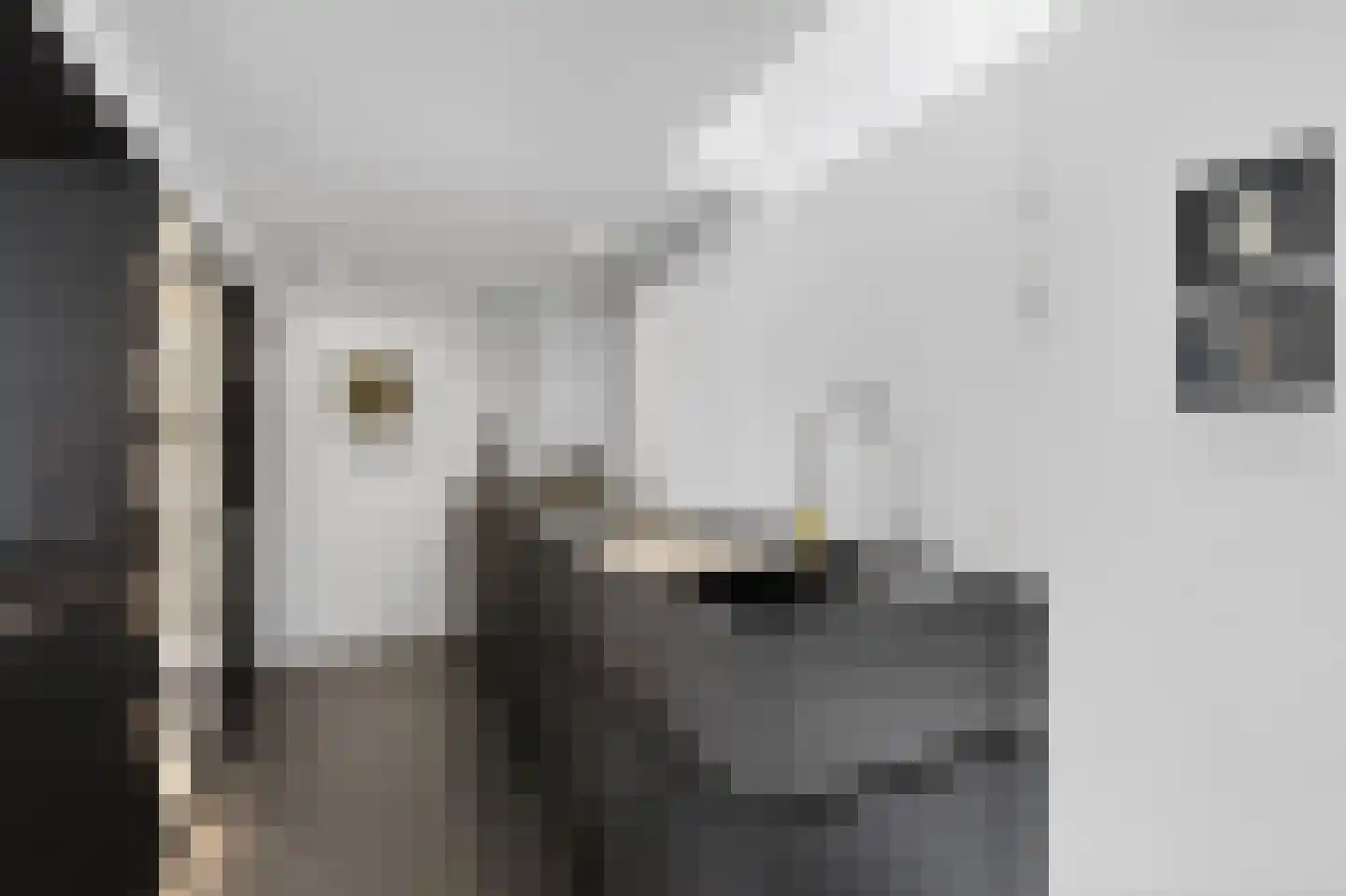 Lauriergracht 47 E Amsterdam thumbnail 19
