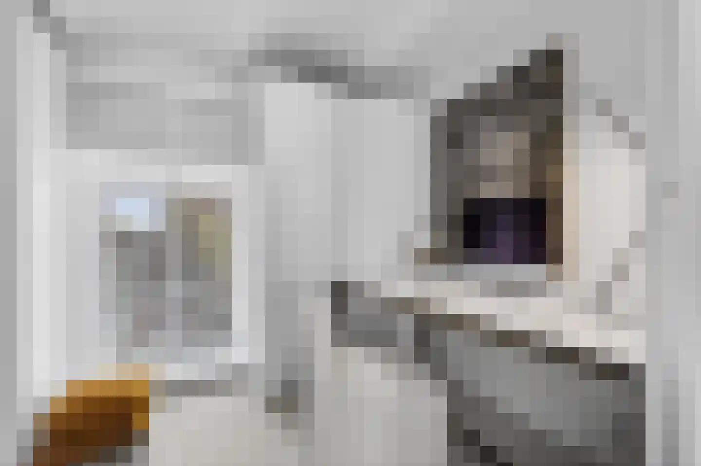 Lauriergracht 47 E Amsterdam thumbnail 38