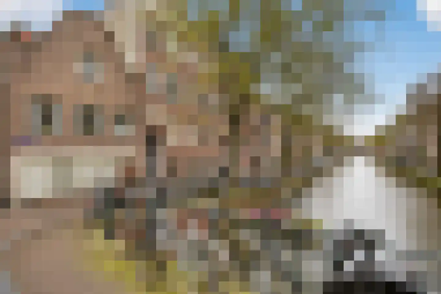 Lauriergracht 47 E Amsterdam thumbnail 52