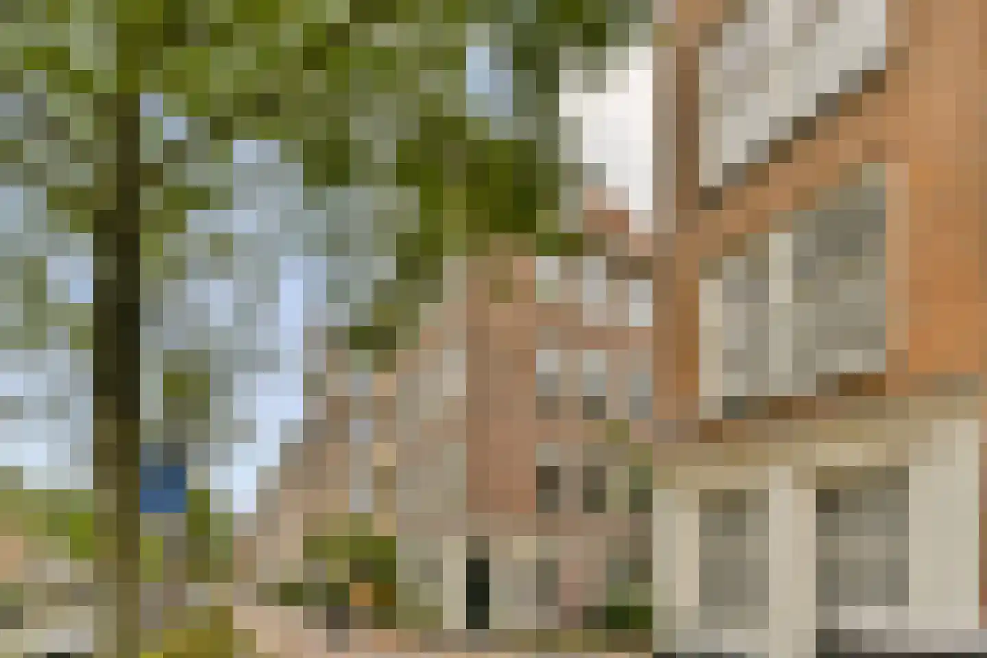 Lauriergracht 62 1 Amsterdam thumbnail 18