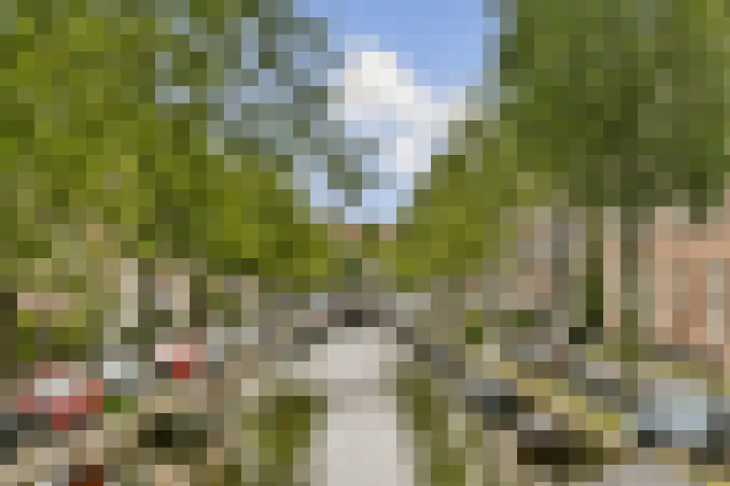 Lauriergracht 62 1 Amsterdam thumbnail 20