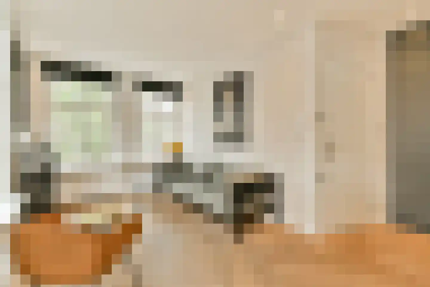 Lauriergracht 62 H Amsterdam thumbnail 5