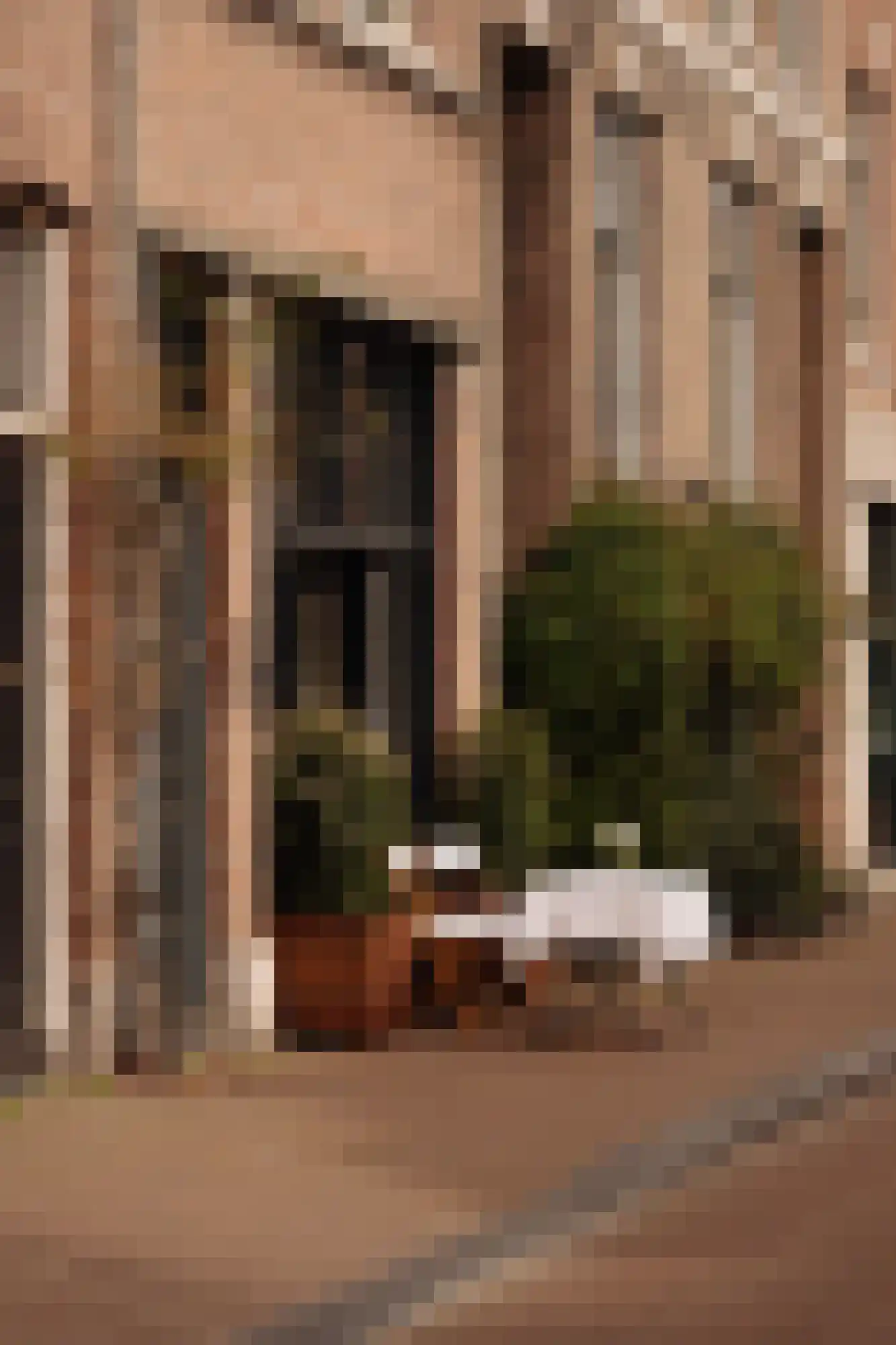 Lauriergracht 92 1 Amsterdam thumbnail 33