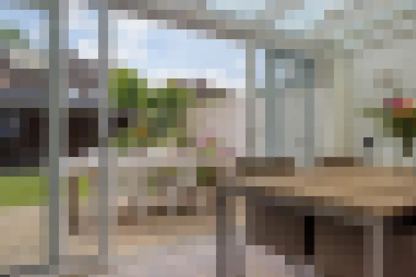 Laurierhaag 1 Oost West en Middelbeers thumbnail 13