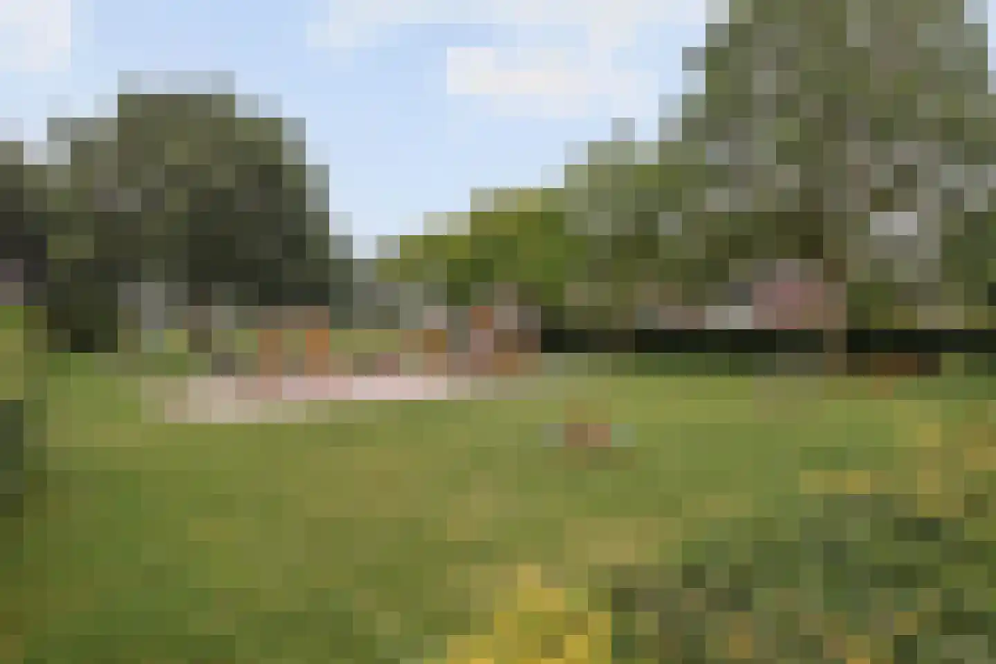 Laurierhaag 1 Oost West en Middelbeers thumbnail 41