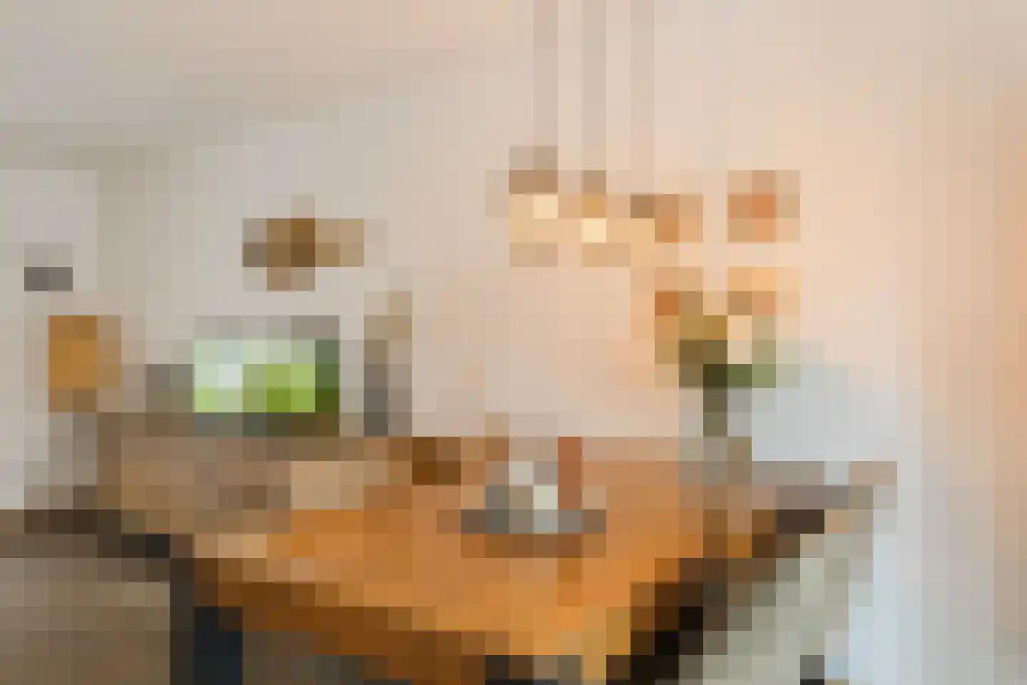 Laurierhof 20 Papendrecht thumbnail 11