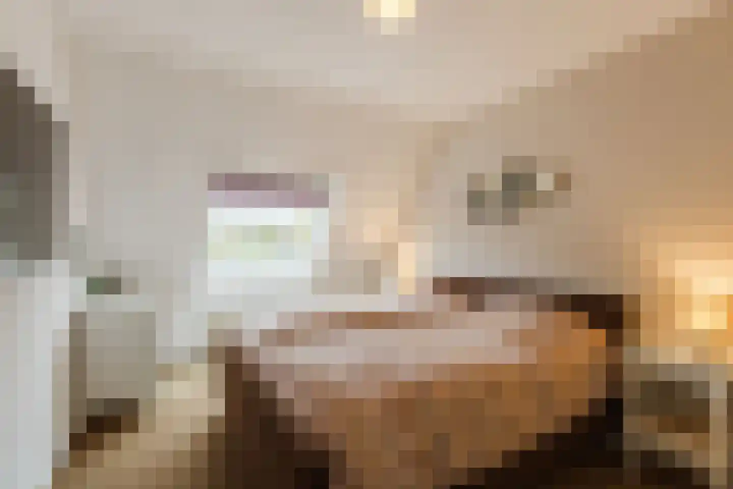 Laurierhof 20 Papendrecht thumbnail 18