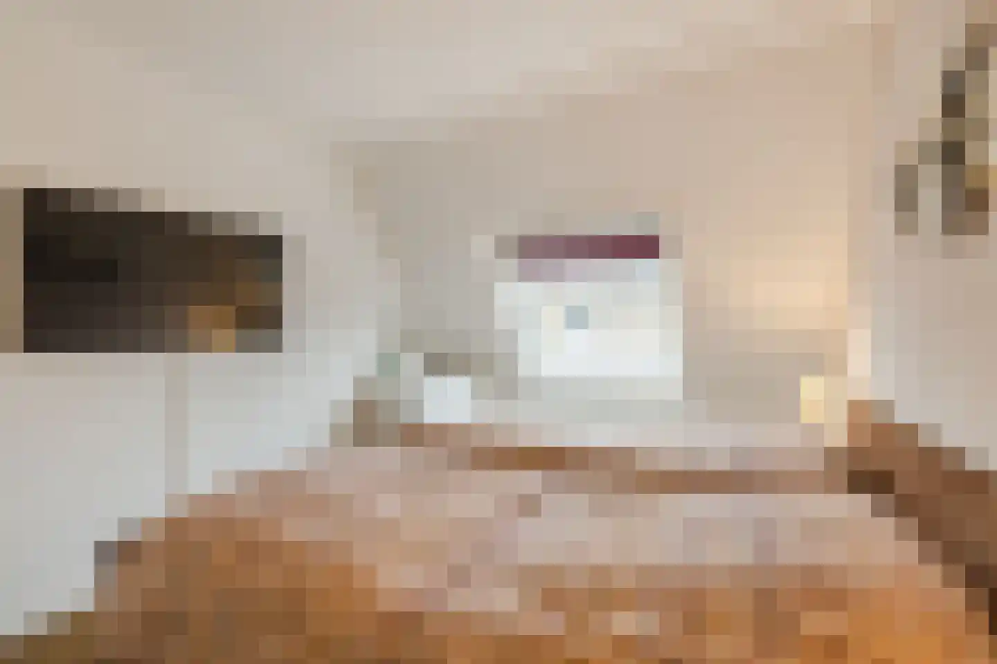 Laurierhof 20 Papendrecht thumbnail 19