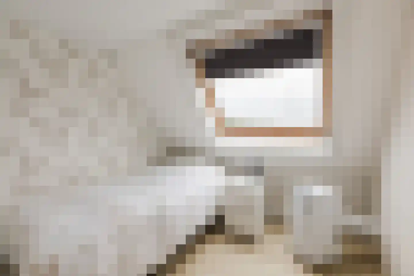 Laurierhof 20 Papendrecht thumbnail 33
