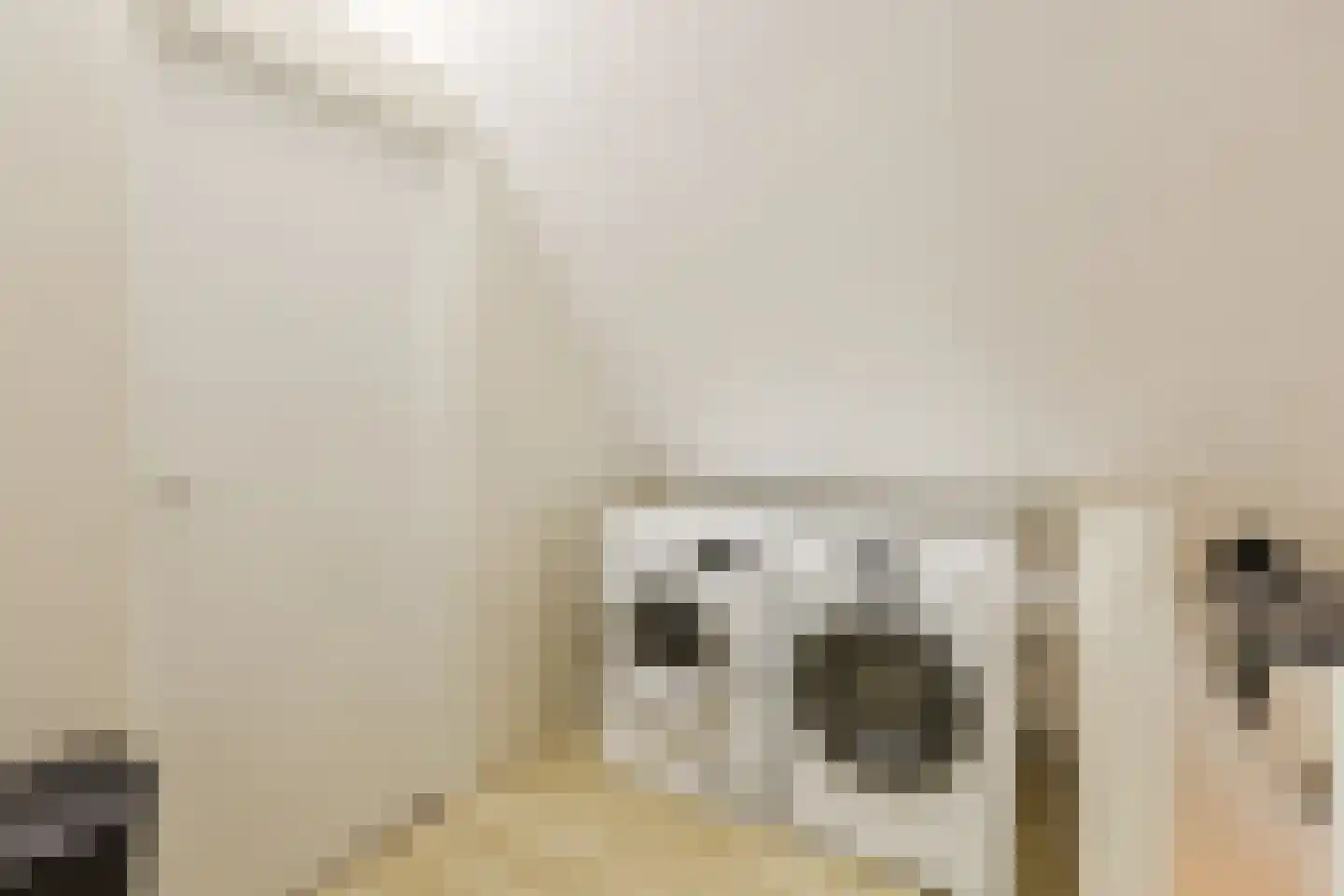 Laurierhof 20 Papendrecht thumbnail 35