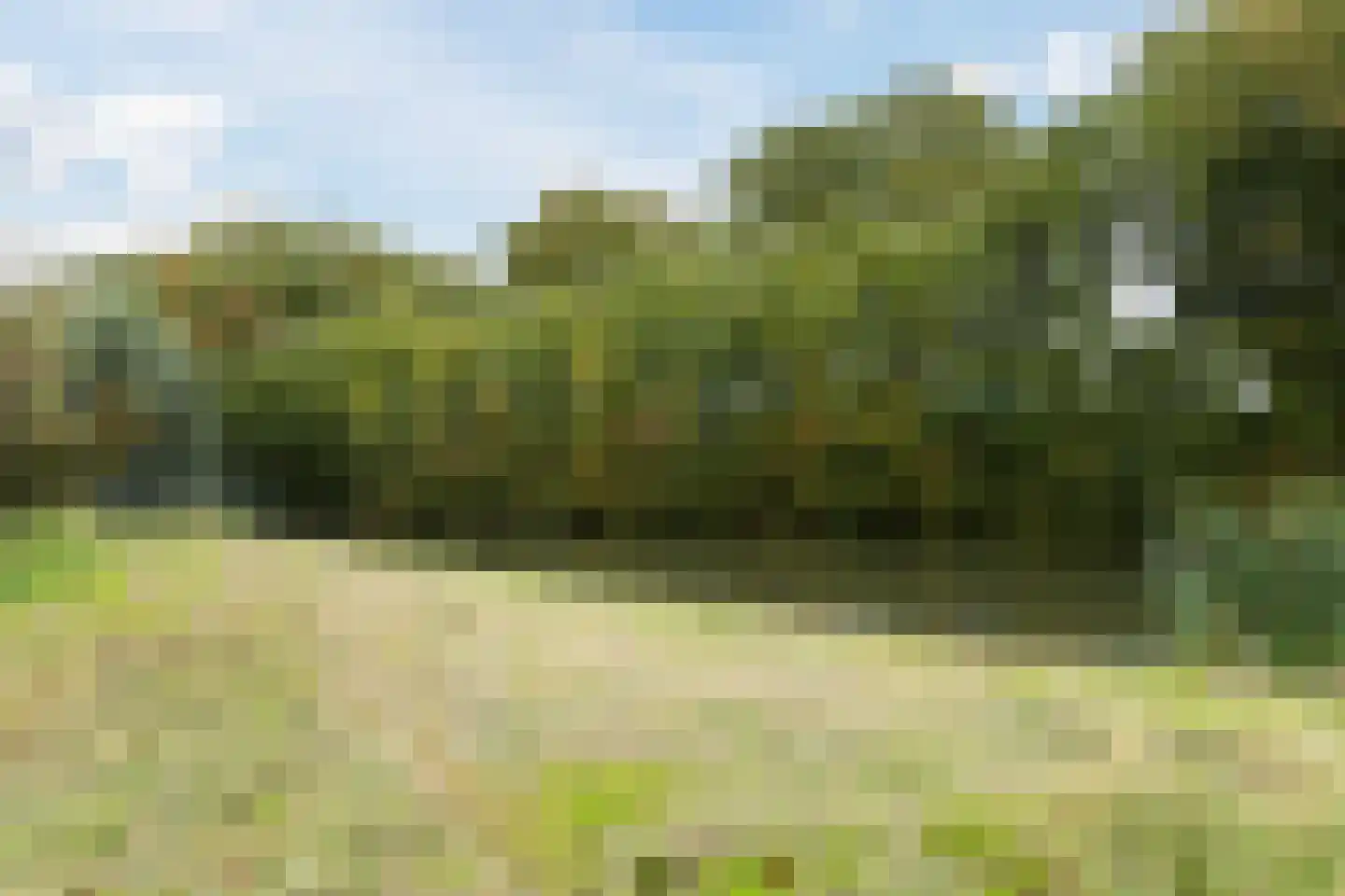 Laurierhof 20 Papendrecht thumbnail 45