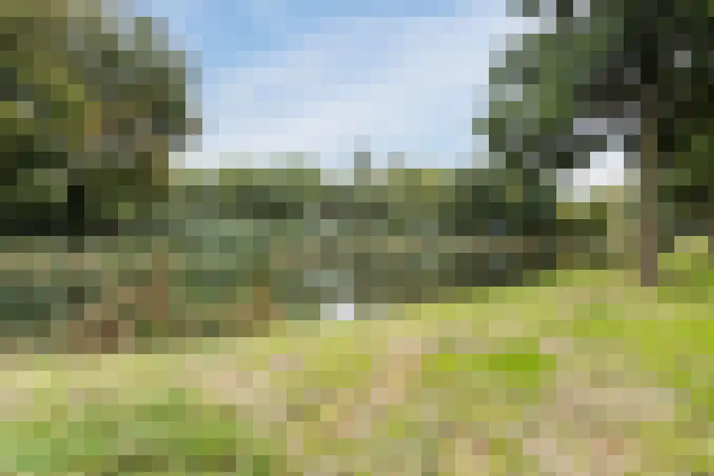 Laurierhof 20 Papendrecht thumbnail 46