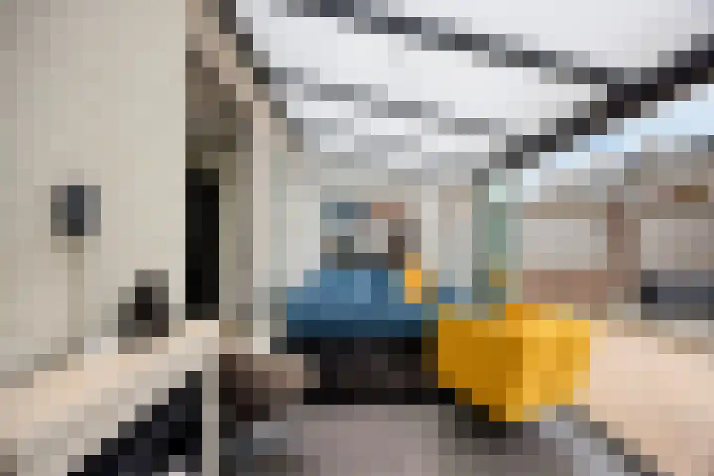 Laurierhof 22 Etten-Leur thumbnail 16