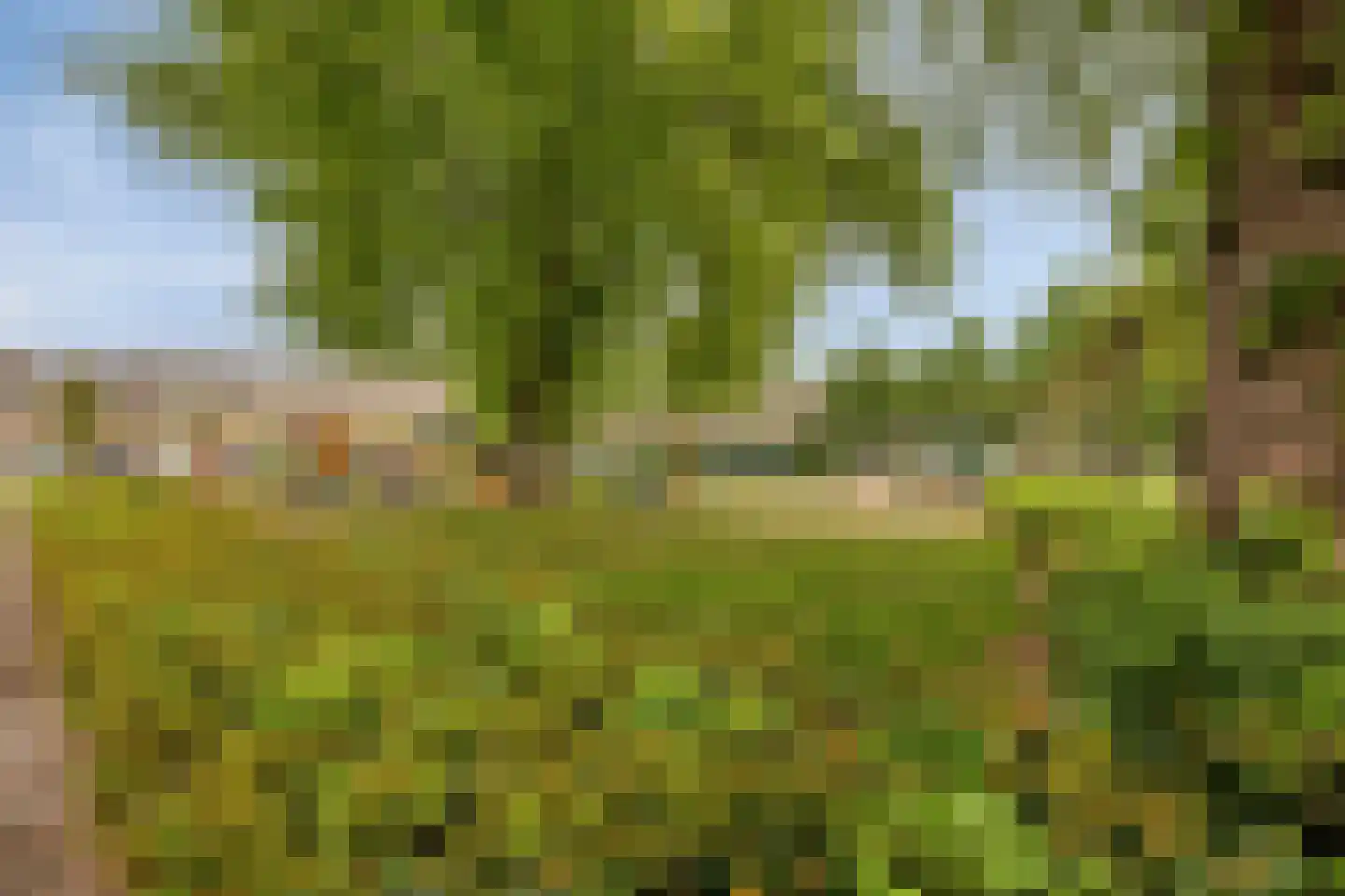 Laurierhof 22 Etten-Leur thumbnail 33