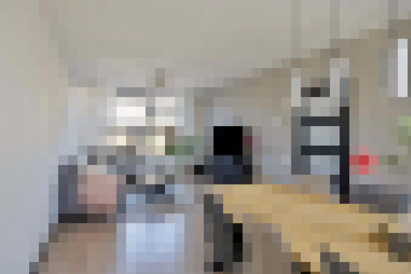 Laurierhof 3 Etten-Leur thumbnail 15