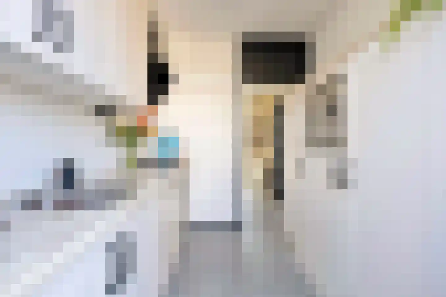 Laurierhof 3 Etten-Leur thumbnail 17