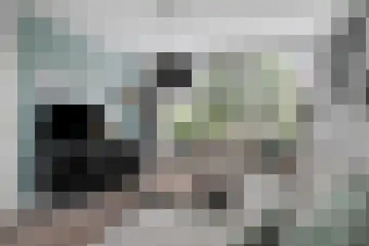 Laurierhof 32 Etten-Leur thumbnail 11
