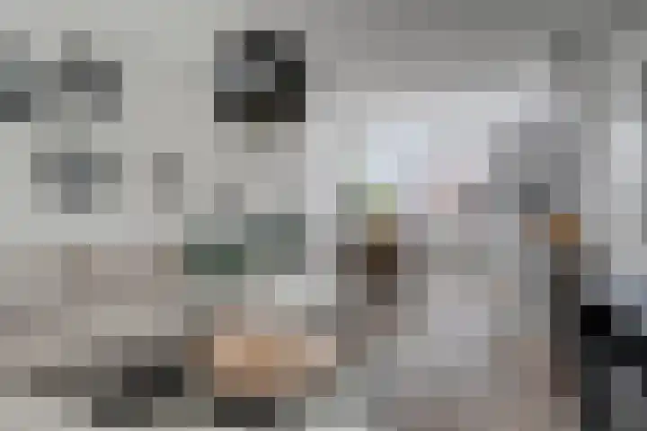 Laurierhof 32 Etten-Leur thumbnail 12