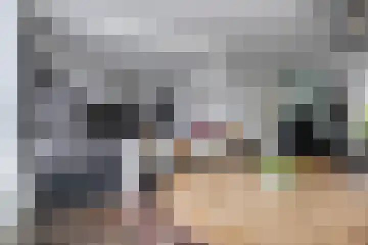 Laurierhof 32 Etten-Leur thumbnail 16