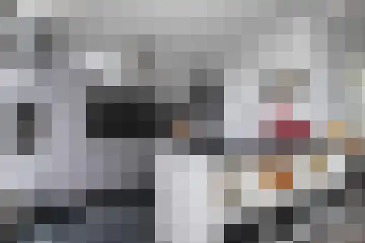 Laurierhof 32 Etten-Leur thumbnail 17
